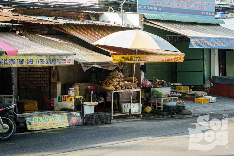 ภาพ มูลนิธิเพื่อสุนัขในซอย