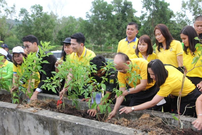 ภูเก็ตร่วมปลูกทองอุไร 1,000 ต้น ตามโครงการ ‘ปลูกต้นทองอุไร รวมใจภักดิ์’  