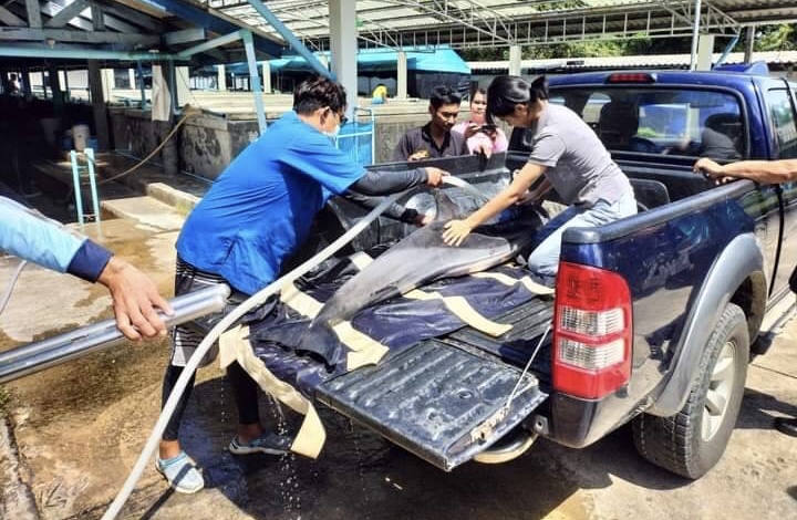 ภาพ อุทยานแห่งชาติเขาลำปีหาดท้ายเหมือง