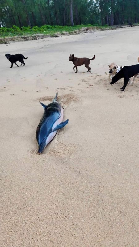 ภาพ อุทยานแห่งชาติเขาลำปีหาดท้ายเหมือง