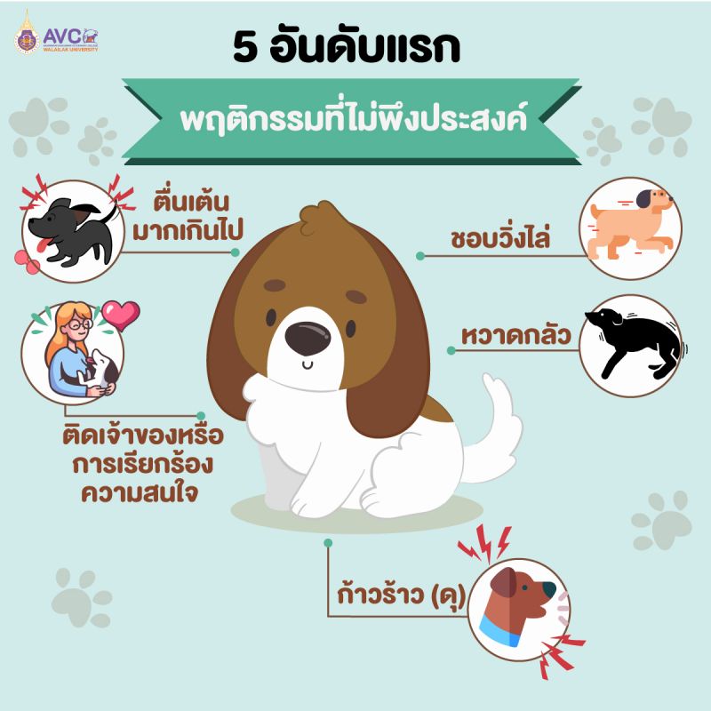 ภาพ ม. วลัยลักษณ์