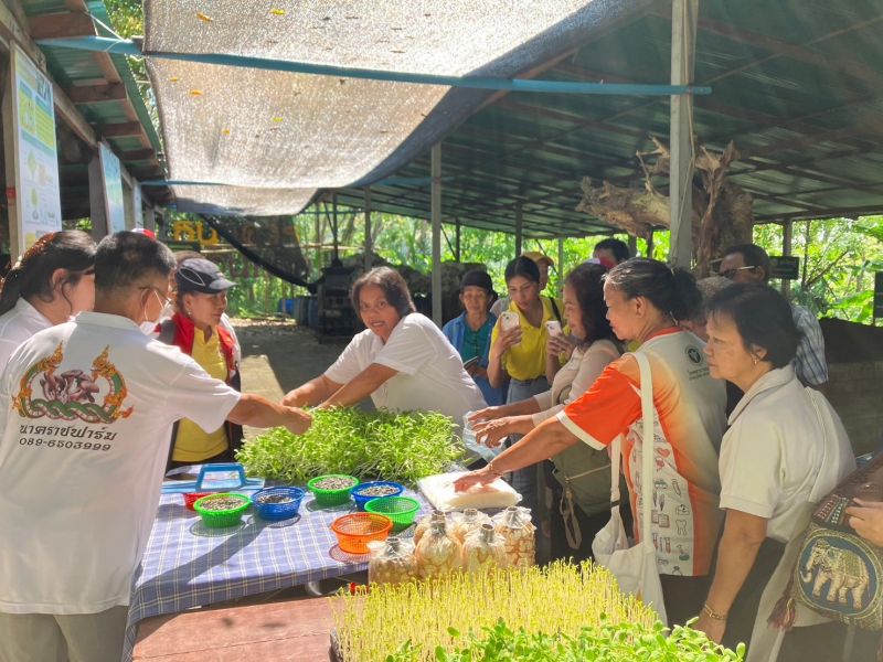 เกษตรจังหวัดภูเก็ตจัดงานวันถ่ายทอดเทคโนโลยีเพื่อเริ่มต้นฤดูกาลผลิตใหม่ (Field Day)