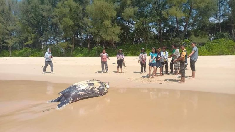 ภาพ อุทยานแห่งชาติเขาลำปีหาดท้ายเหมือง