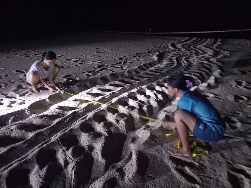 ภาพ อุทยานแห่งชาติเขาลำปีหาดท้ายเหมือง