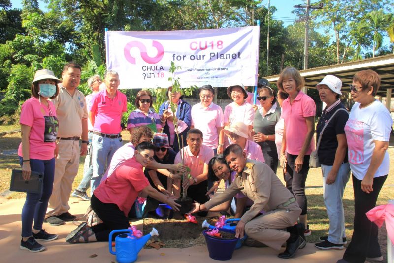 จังหวัดภูเก็ตและชมรมนิสิตเก่าจุฬาฯ ปีการศึกษา 2518 ร่วม ’รักษ์จามจุรีทรงปลูก’