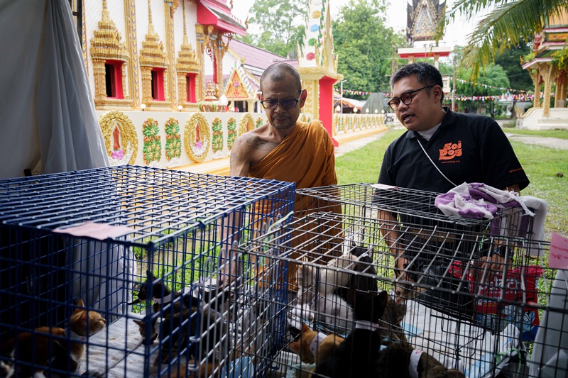 ภาพ มูลนิธิเพื่อสุนัขในซอย