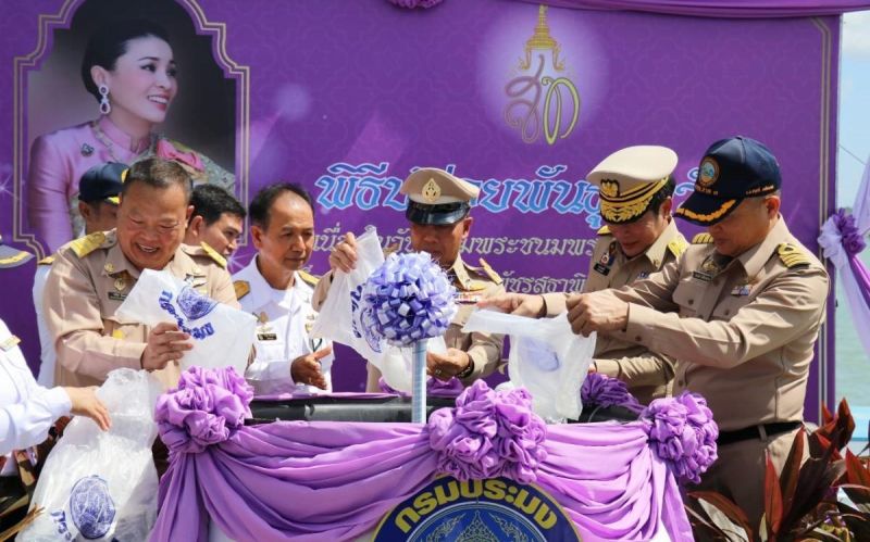 ภูเก็ตปล่อยพันธุ์สัตว์น้ำเพื่อเทิดพระเกียรติและถวายเป็นพระราชกุศล สมเด็จพระนางเจ้าฯ พระบรมราชินี
