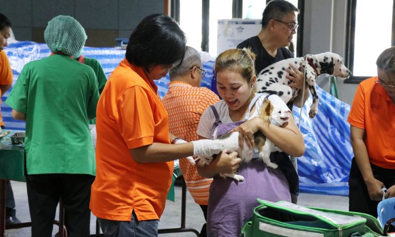 ภูเก็ตจัดโครงการปศุสัตว์ร่วมใจกำจัดภัยโรคพิษสุนัขบ้าเฉลิมพระเกียรติศาสตราจารย์ ดร.สมเด็จเจ้าฟ้าฯ กรมพระศรีสวางควัฒน วรขัตติยราชนารี