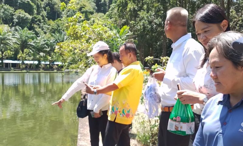 ประมงภูเก็ตตรวจสอบหลังพลเมืองดีแจ้งพบ ’ปลาหมอคางดำ’ มอ.ภูเก็ต สรุปปลานิล