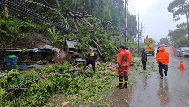 ฝนตกต่อเนื่องต้นไม้ขนาดใหญ่ล้อมทับสายไฟฟ้าแรงสูงขาดขวางถนนกมลา-ป่าตอง 