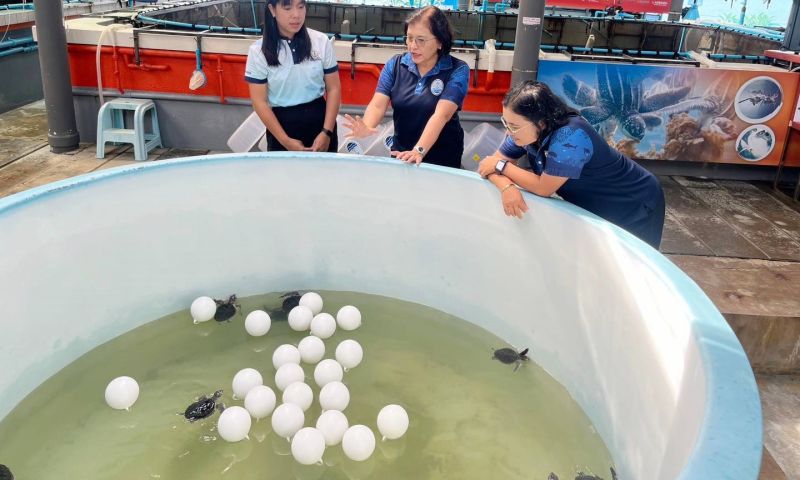 กรมทะเลติดตามโครงการในภูเก็ต มอบแนวทางการทำงานให้สำเร็จตามเป้า