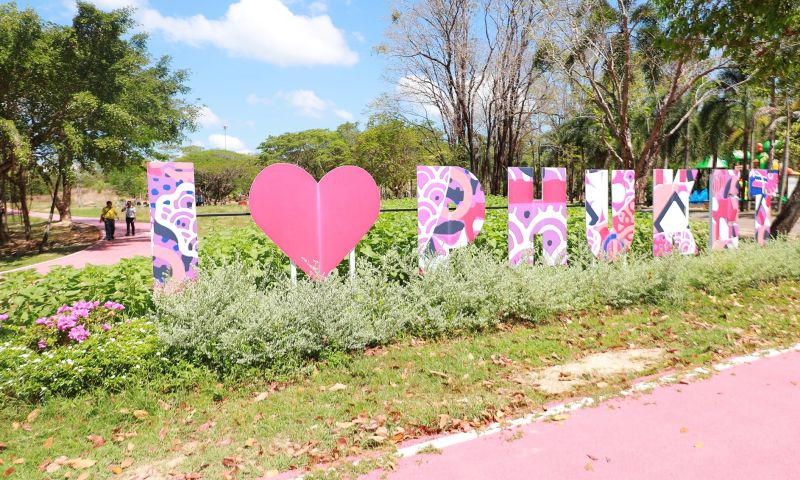 ทน.ภูเก็ต ชวนเตรียมพร้อมถ่ายรูปกับดอกทานตะวันสวย ๆ จุดเช็คอิน I LOVE PHUKET