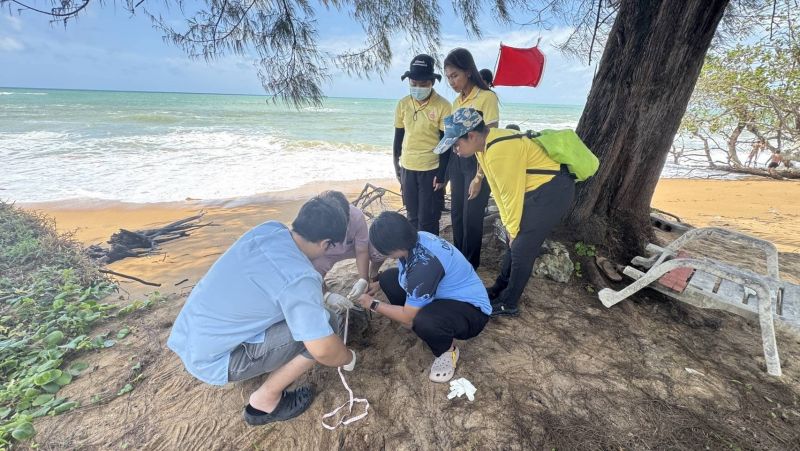 ซากเต่าทะเลเกยตื้นชายหาด พบเศษเชือกในล่อนขนาดเล็กในลำไส้