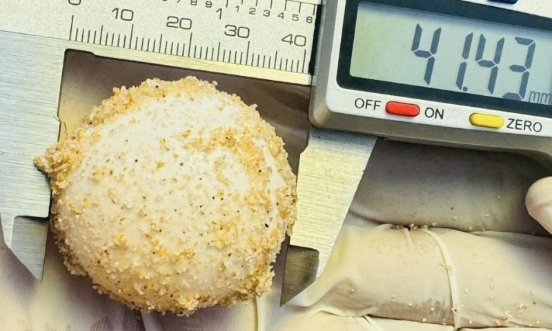 เฮอีก! แม่เต่าทะเลวางไข่หาดบ่อดาน 130 ฟอง ย้ายหลุมฟักไปพื้นที่ปลอดภัย